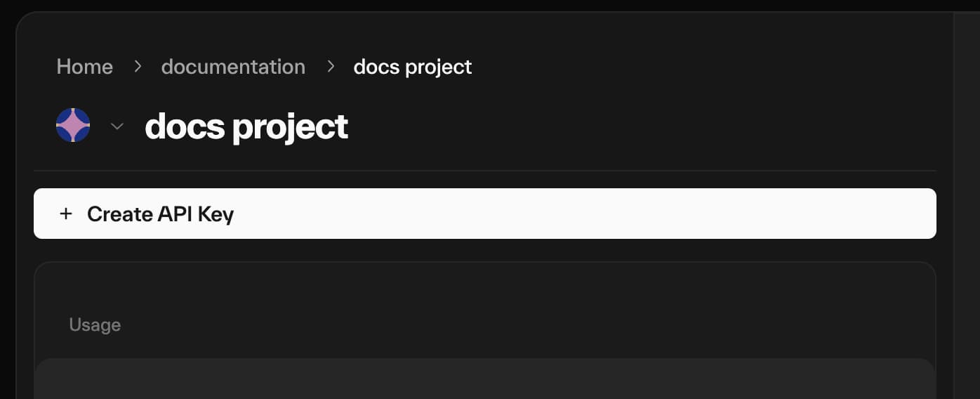 Taostats API dashboard for a project showing a "Create API Key" button and a Usage section